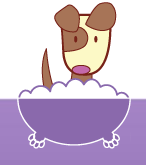 Worthing Dog Grooming