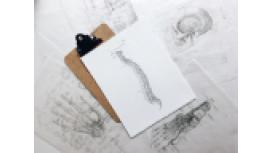 High Wycombe Chiropractic Clinic