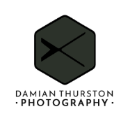 Jellyfish Photography