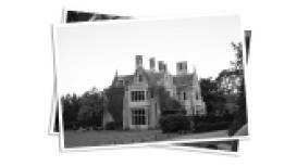 Swift Carpet Cleaning Services