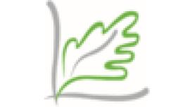 New Forest Dental Practice