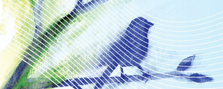 Craniosacral Therapy Cambridge