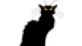 Black Cat Driving School