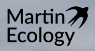 Martin Ecology