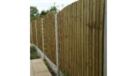 Hayes Fencing