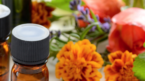 Chinese Doctor Clinic