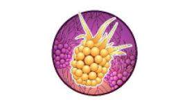 Blackberry Hill Carpets and Flooring