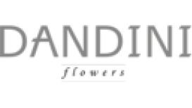 Dandini Flowers