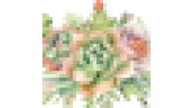 Joannes Florist - Winchester Florists