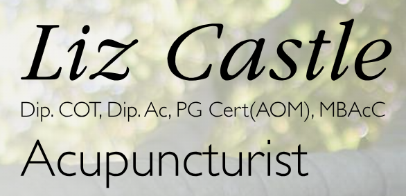 Liz Castle MBAcC, Acupuncturist