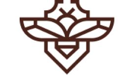 BLS Insurance Services Ltd