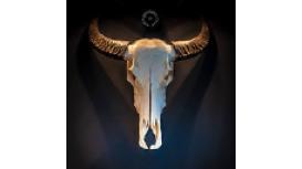 Kerry Chapman Interior Design