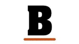 Bluebird Chain & Findings Ltd