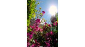 Creative Landscapes of Lytham