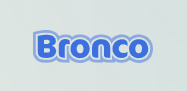 Bronco Ltd