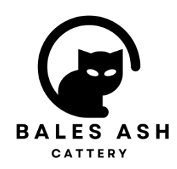 Bales Ash Cattery