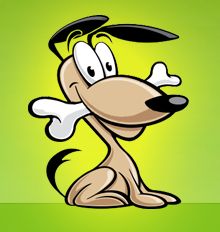 Stroud Dog Walking Services