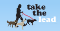 Take The Lead