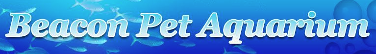 Beacon Pet Aquarium