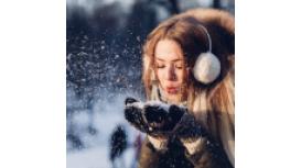 Collier Property Management