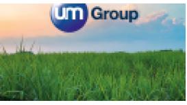 U M Group