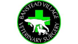 Banstead Village Veterinary Surgery