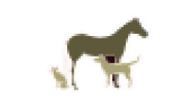 Bellevue Veterinary Clinic