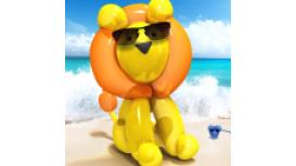 Borden Lane Veterinary Surgery