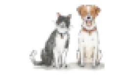 Bowbridge Veterinary Group