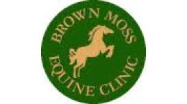 Brown Moss Equine Clinic