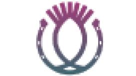 The Equine Veterinary Clinic