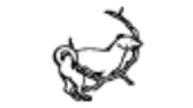 Grove Veterinary Centre