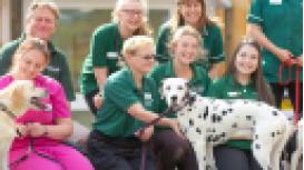 Hawthorne Lodge Veterinary Surgery