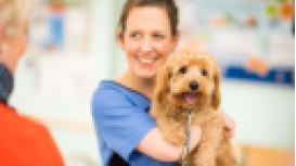 Avon House Veterinary Surgery