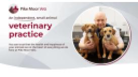 Pike Moor Vets
