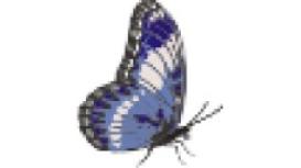 Inspiration Web Design