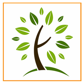 Heal & Sole Holistics