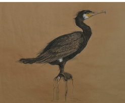 Suzie Dafforn-Art Page