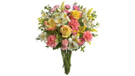 Mr Florist Kensington