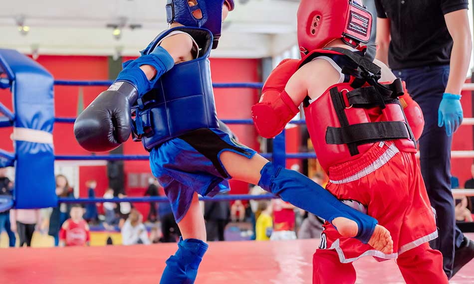 Martial Arts Competitions