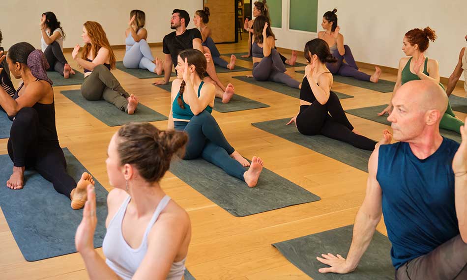 Hatha Yoga Classes