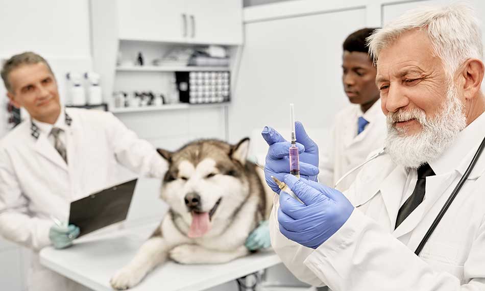 Vaccinations and Preventive Care