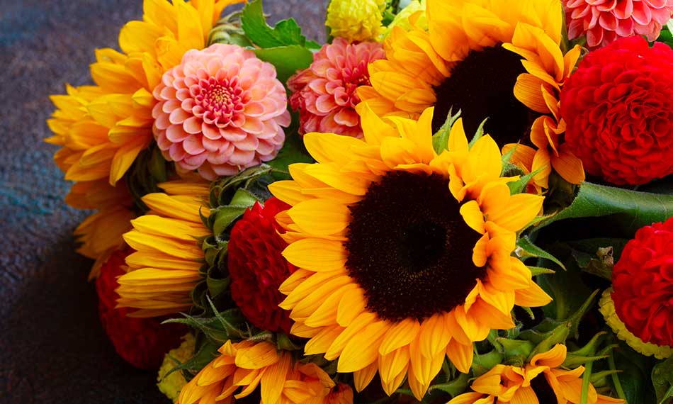 Seasonal and Holiday Flowers