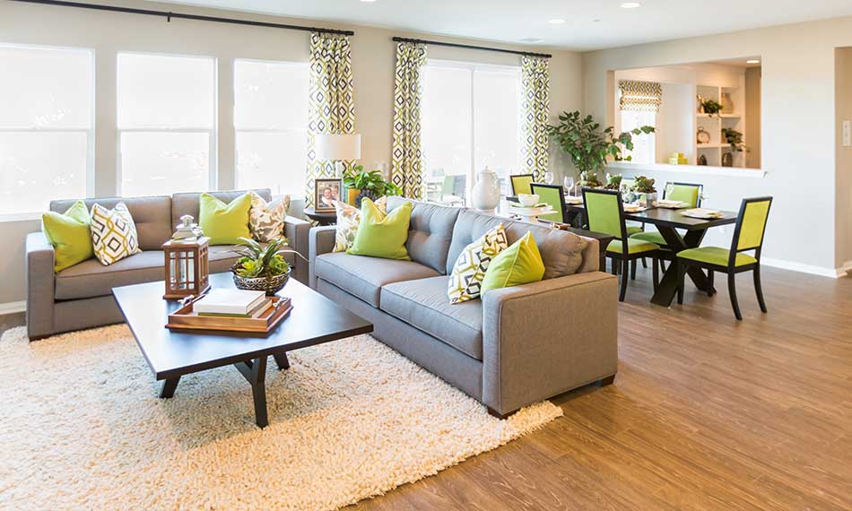 Living Room & Dining Room Furniture